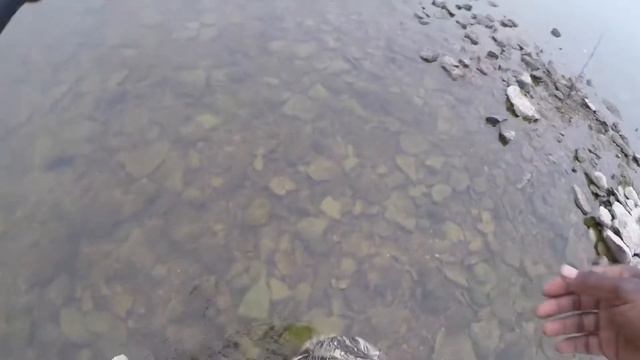 Unboxing HiSea Waders with Review | BassSniperScooter смотреть онлайн