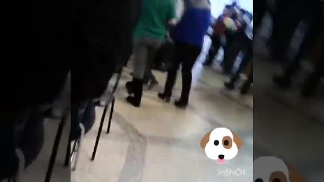 Тверской цирк. Новогодние каникулы2018 #еленагалкина