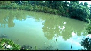 Рыбалка на Казачьем Ерике 2021! Рыбалка на фидер, спиннинг, поплавок#