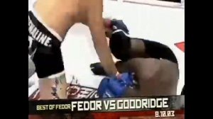 Мнение Экспертов о Фёдоре Емельяненко