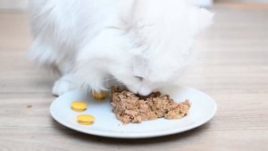 кошачий корм ГУРМЭ