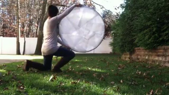 Damien the Doberman Paper hoop trick смотреть онлайн