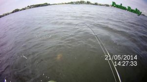 Воблер MEGABASS VISION ONETEN 110 разловлен с первого заброса. Рыбалка. Твичинг.