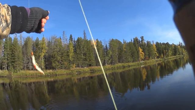 Розыгрыш снастей из США. 200 кг на спиннинг Щука , Окунь. смотреть онлайн