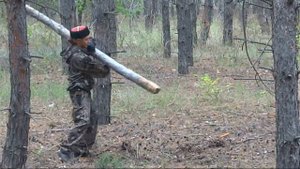 Разминка с бревном