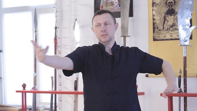 Комплекс Цигун - 5 зверей (Форма 1 из 5 - Змея) смотреть онлайн