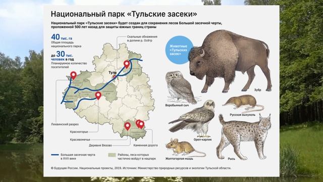 Новый национальный парк «Тульские засеки»