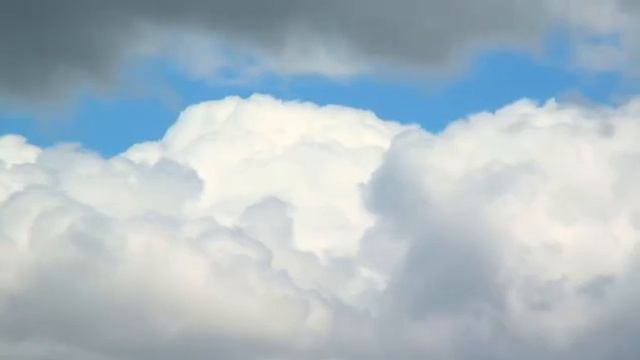 Изучая природу 3D 2012 Experience Nature