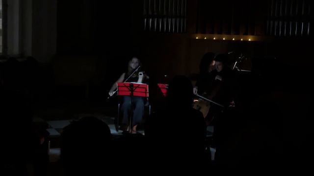 Франц Шуберт. Ноктюрн. Казанское трио. смотреть онлайн