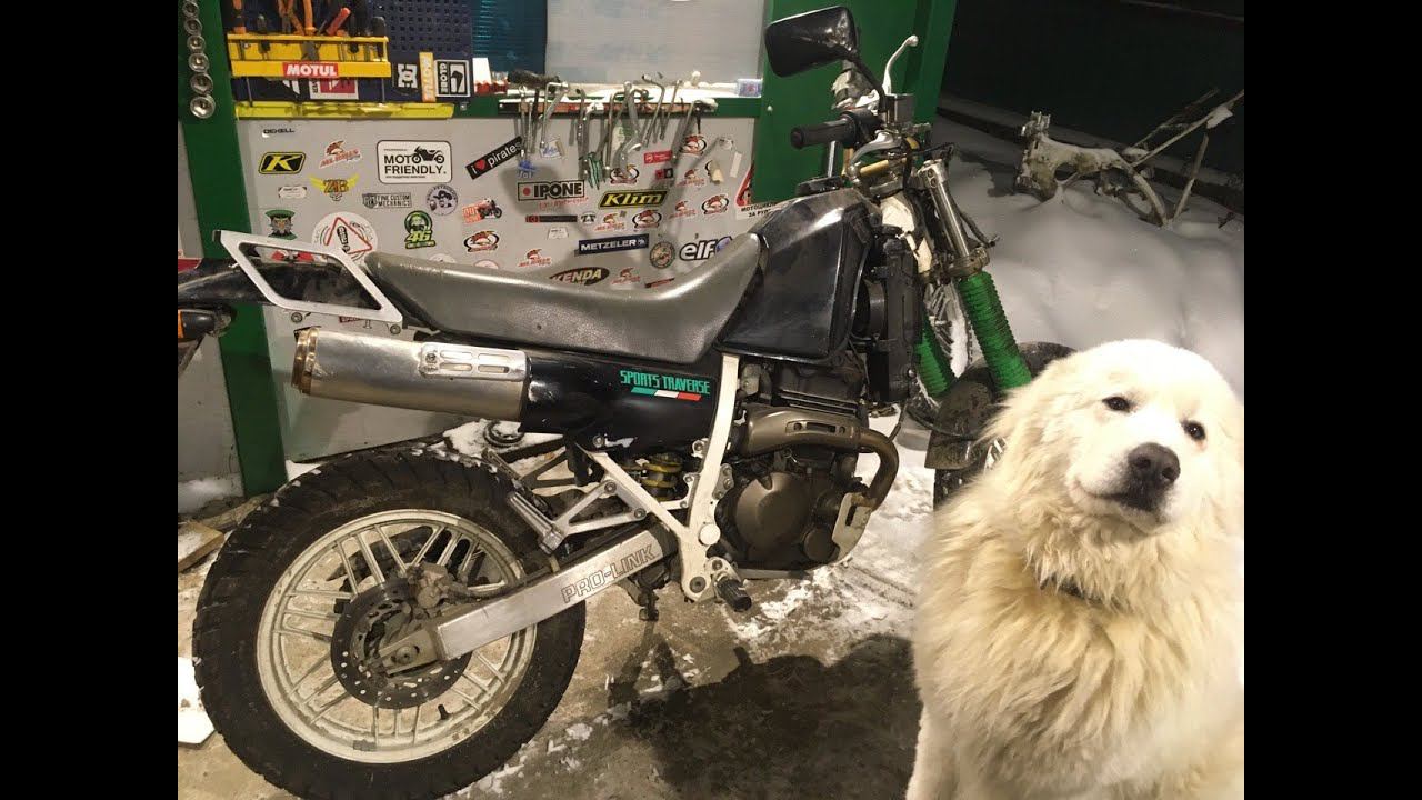 Пускаем в разбор Honda AX-1 breaking for parts смотреть онлайн