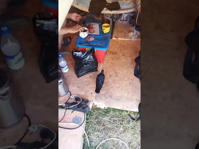 У нас НОВЫЙ ПРОРАБ # СЕЙЧАС ведет проверку ЖИЛЬЯ РАБОЧИХ) #shorts смотреть онлайн