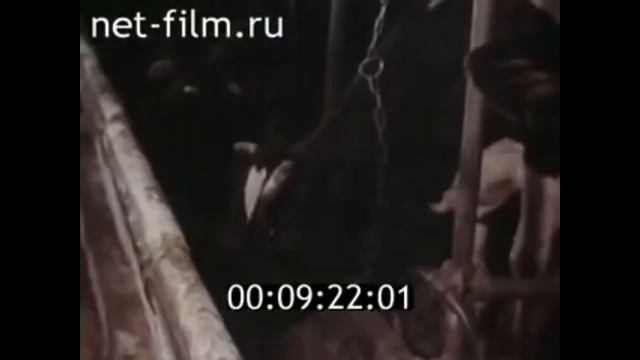 Органические удобрения – основа плодородия почвы смотреть онлайн