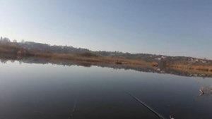 Как давление влияет на клев. ЭТО ВАЖНО!!! АТМОСФЕРНОЕ ДАВЛЕНИЕ и его влияние на УСПЕХ РЫБАЛКИ!