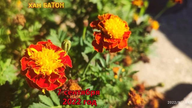 Влог о путешествии по Евпатории 7 сентября 2022 #Крым #ХАНБАТОН #Евпатория #vlog #влог #XAH6ATOH