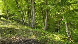 Участки ИЖС Краснодарский край Дубовая роща весна 2023