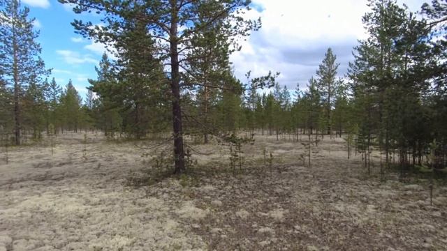 МЕТАЛЛОКОП 2023 ИЛИ В ПОИСКАХ МЕТАЛЛА смотреть онлайн