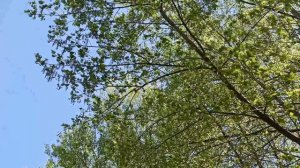 Три Знака Зодиака, которые не стареют и живут дольше всех остальных...