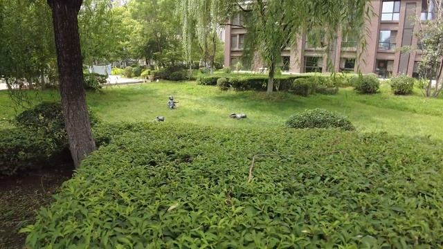 Обзор нашего жилого комплекса в Шэньяне, Китай. Часть 1
