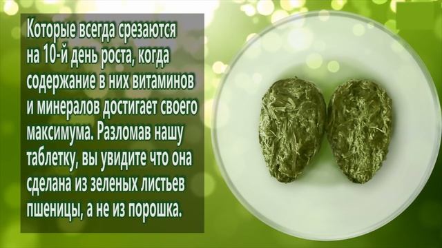 Новый продукт  ростки пшеницы пресcованные. Dom-Land