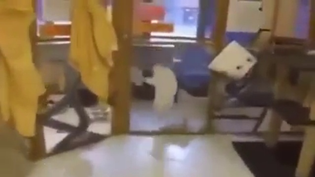 Приехал из отпуска, пошел забирать кота смотреть онлайн