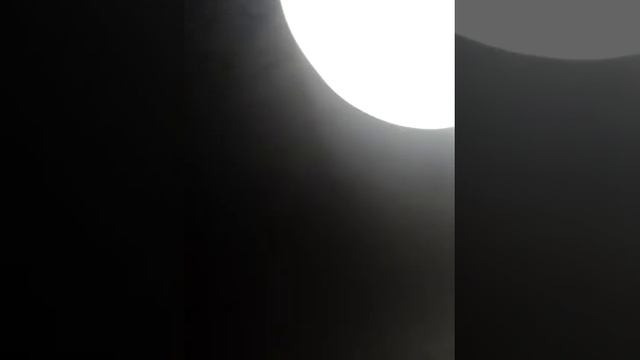 Обзор на Арабские духи))) смотреть онлайн