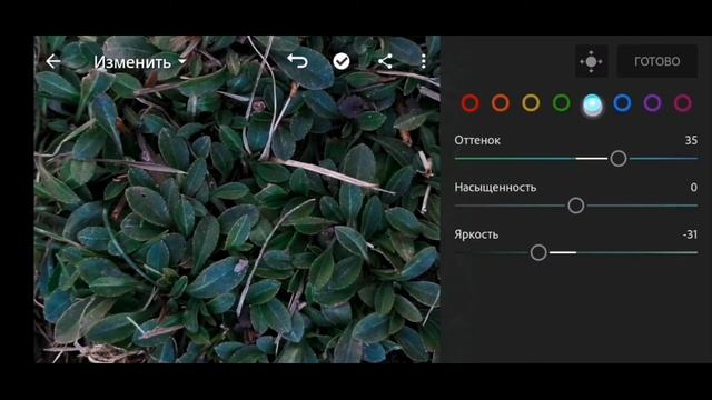 ОБРАБОТКА ФОТО В Lightroom!!! Тёмно-зелёный цвет!!! смотреть онлайн