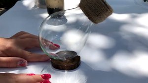 МИНИ-ФЛОРАРИУМ В СТАРОЙ ЛАМПОЧКЕ СВОИМИ РУКАМИ || КАК СДЕЛАТЬ ФЛОРАРИУМ || CLOSED FLORARIUM