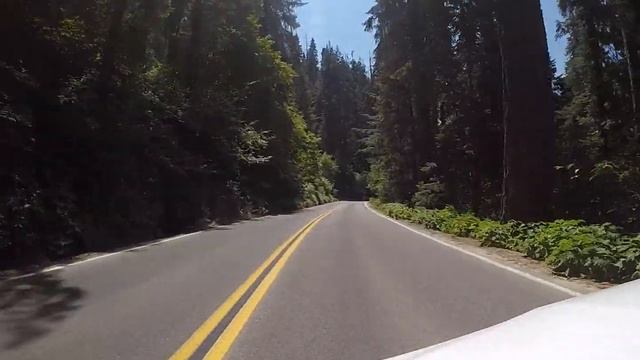 leaving Sequoia 3 смотреть онлайн