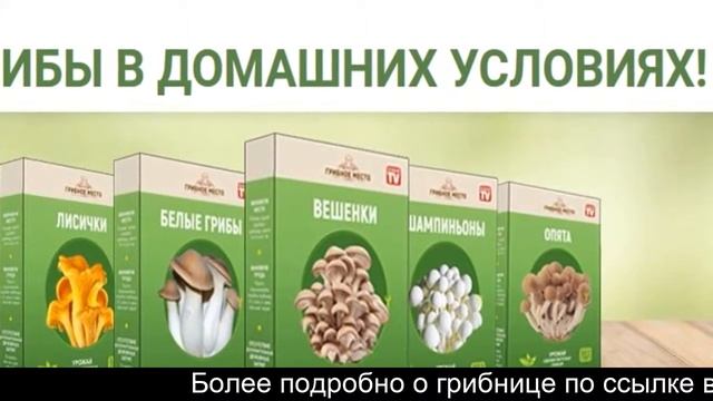 Купить грибницу шампиньонов для выращивания в домашних смотреть онлайн