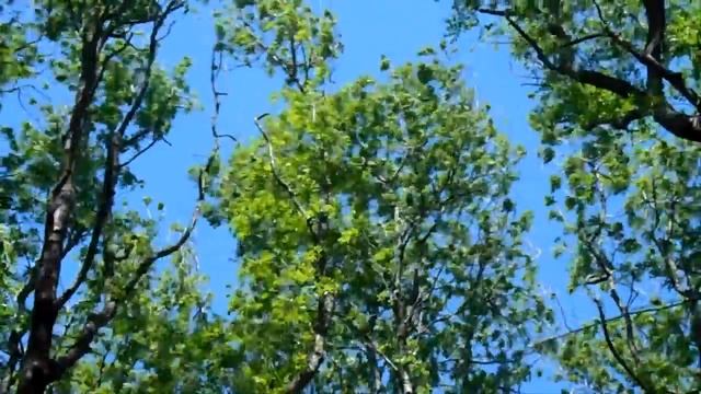 ДА БУДЕТ СВЕТ! Вера Семёнова (Пенькова), Сергей Александровский. Клип - Ирина Жукова-Каменских. смотреть онлайн