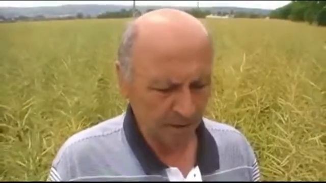 Биоудобрение Nagro (Нагро) - новое поколение удобрений смотреть онлайн