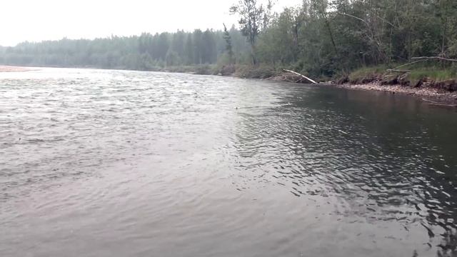 Лямпушка. Добрались до ледника. Отличный клев ленка и тайменя. смотреть онлайн