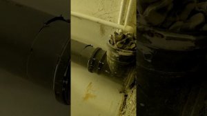 Разорвало диск на болгарке во время реза ,обошлось без травм )!