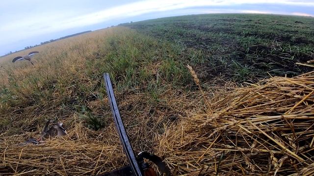Охота на утку в чистом поле, поставил скрадок в поле и давай стрелять утку. Охота на утку 2021 смотреть онлайн