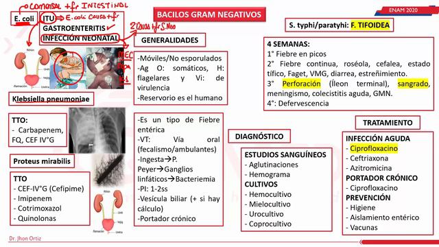 GRAM NEGATIVOS ENAM смотреть онлайн