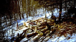 СТРОИМ ИЗБУ В ТАЙГЕ, НА НОВОМ УЧАСТКЕ. День третий.