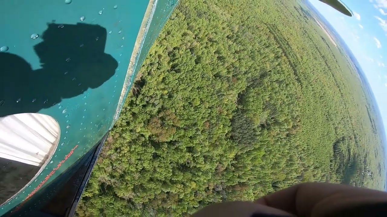 Взлет самолета Ан-2 с красивого ракурса. смотреть онлайн