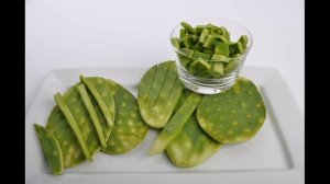 Кактус Опунция - Уход за кактусом - Opuntia
