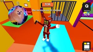 КОШКИ - МЫШКИ В РОБЛОКС | КОТИК ГРЕННИ ГОНЯЕТСЯ ЗА МЫШАМИ В ROBLOX | Kitty