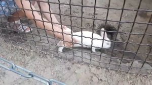 Ружанский санаторий. Развлекаемся как можем. 2 часть❤