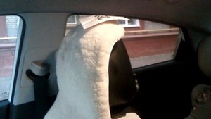 Пропала вибрация Солярис 1.6 2017г