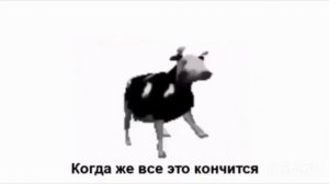 Польская корова танцует|[С Переводом на русский]| (POLSKIE TŁUMACZENIE) POLSKA KROWA TAŃCZY