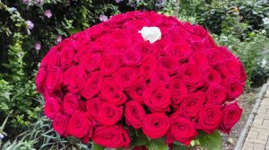 как сохранить цветы в вазе