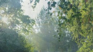 озеро Большое Миассово