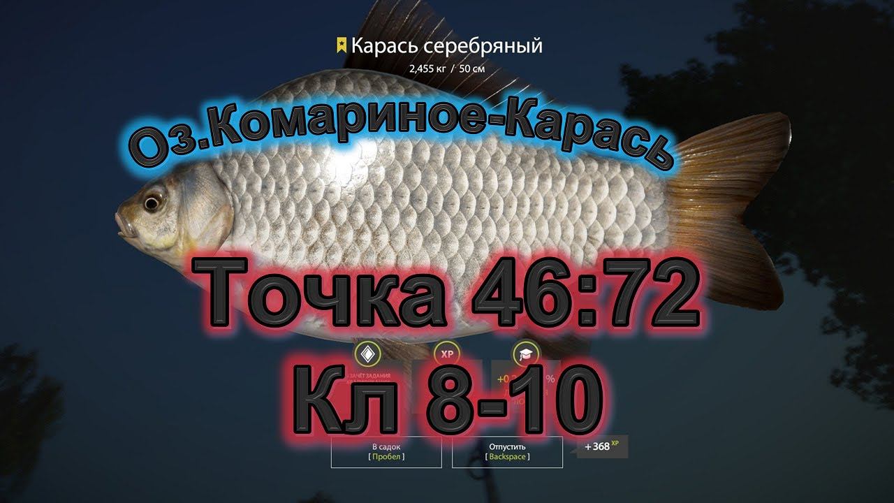 оз.Комариное-Карась-возможность закрыть ТРОФА#дмитрийhd #рр4 #рр4