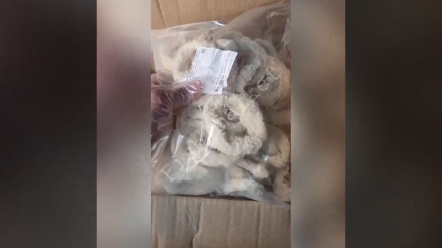 Кольца кальмаров