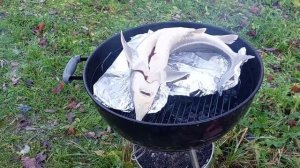 Как я готовил осетра на мангале, первого осетра из моего пруда