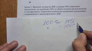 Цитология. Задачи. Часть 1. ДНК, РНК.