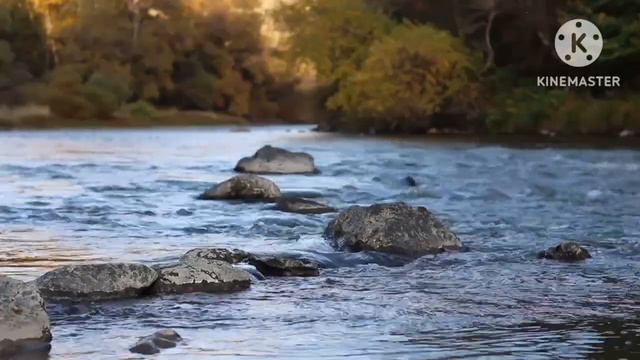 Лечебная музыка для медитации и снятия стресса. смотреть онлайн