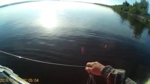 Рыбалка Каргасок август 2017
